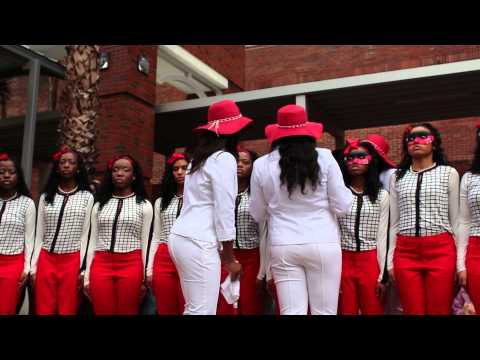 Lambda Psi Chapter of Delta Sigma Theta, Sorority Inc. Spring 2014 Probate