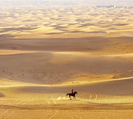 While enjoying an early morning balloon ride over the Dubai Desert we were amazed to see a lone horseman riding out ...