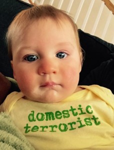 domestic-terrorist-onesie