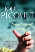 <I>Small Great Things</I>, by Jodi Picoult. Allen & Unwin $32.99.