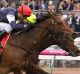 Kerrin McEvoy rides Almandin to victory in the Melbourne Cup.