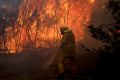 Bushfires were the most commonly occurring type of disaster event in the study.