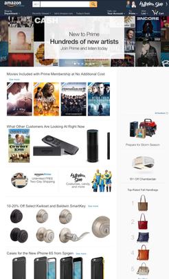 Amazon.com screenshot.jpeg