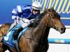 Benz ready to hit top gear in Guineas
