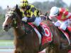 Doomben success might be just the tonic for trainer