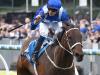 Winx owners say no to overseas invites