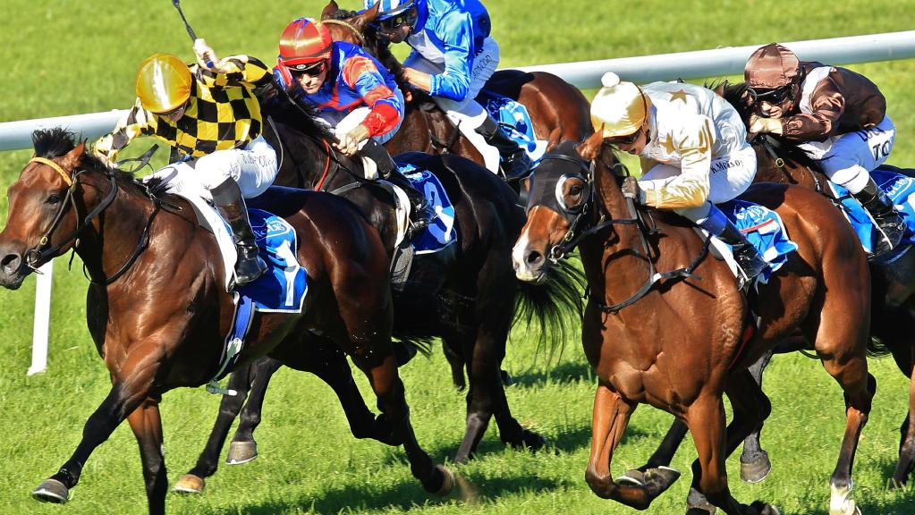 Single And Free and Hot Vinni (not pictured) look the standouts at Quirindi, according to the Sportsman’s Shayne O’Cass. Picture: Jenny Evans