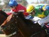 Jockeys take legal whip to concerns