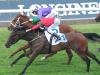 Sydney preview: Rosehill 11/11