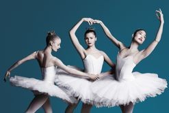 Highlights of The Australian Ballet's 2017 season