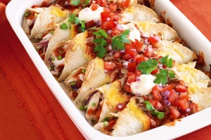 Chicken enchiladas with tomato salsa