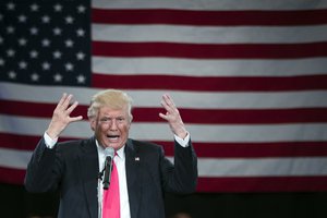 Republican presidential candidate Donald Trump speaks during a town hall, Monday, July 25, 2016, in Roanoke, Va.