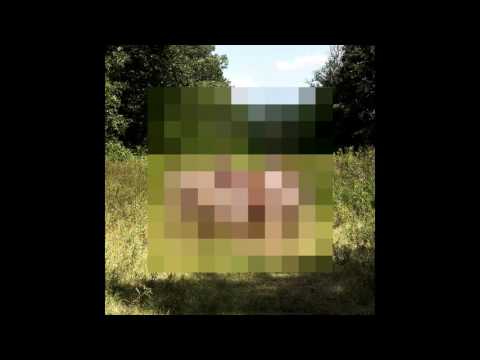 The Hotelier - Goodness [FULL ALBUM]