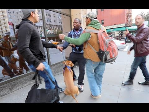 CAUGHT GUY ABUSING HIS DOG!! (GETS ARRESTED)