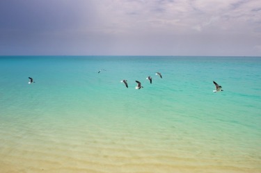 Exuma Island, The Bahamas June 2016. Summer in the Bahamas is hot and humid and sometimes a cold beer is the only thing ...