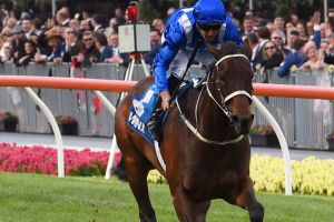 World's best: Winx wins the Cox Plate last month.