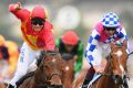 Ben Melham rides Malaguerra, left, to win the Darley Classic and Fell Swoop finished third.