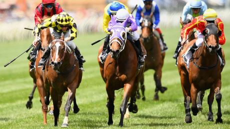 Strong formline: Jennifer Lynn (left) wins  at Flemington during the Melbourne Cup Carnival. 