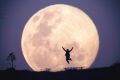 A supermoon rises over Canberra in 2014.