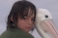 Much-loved film: Greg Rowe and pelican in <i>Storm Boy</i>.