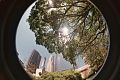 The view of buildings in Downtown Los Angeles 