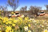 See outback NSW on a five-day tour.