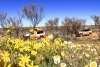 See outback NSW on a five-day tour.