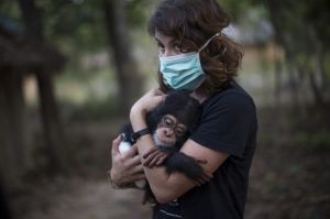  French volunteer Audrey Lenormand, 27, holds ten month old Soumba for the first time after being handed him by GALF.