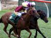 Chasing Dunkeld Cup win for a late mate