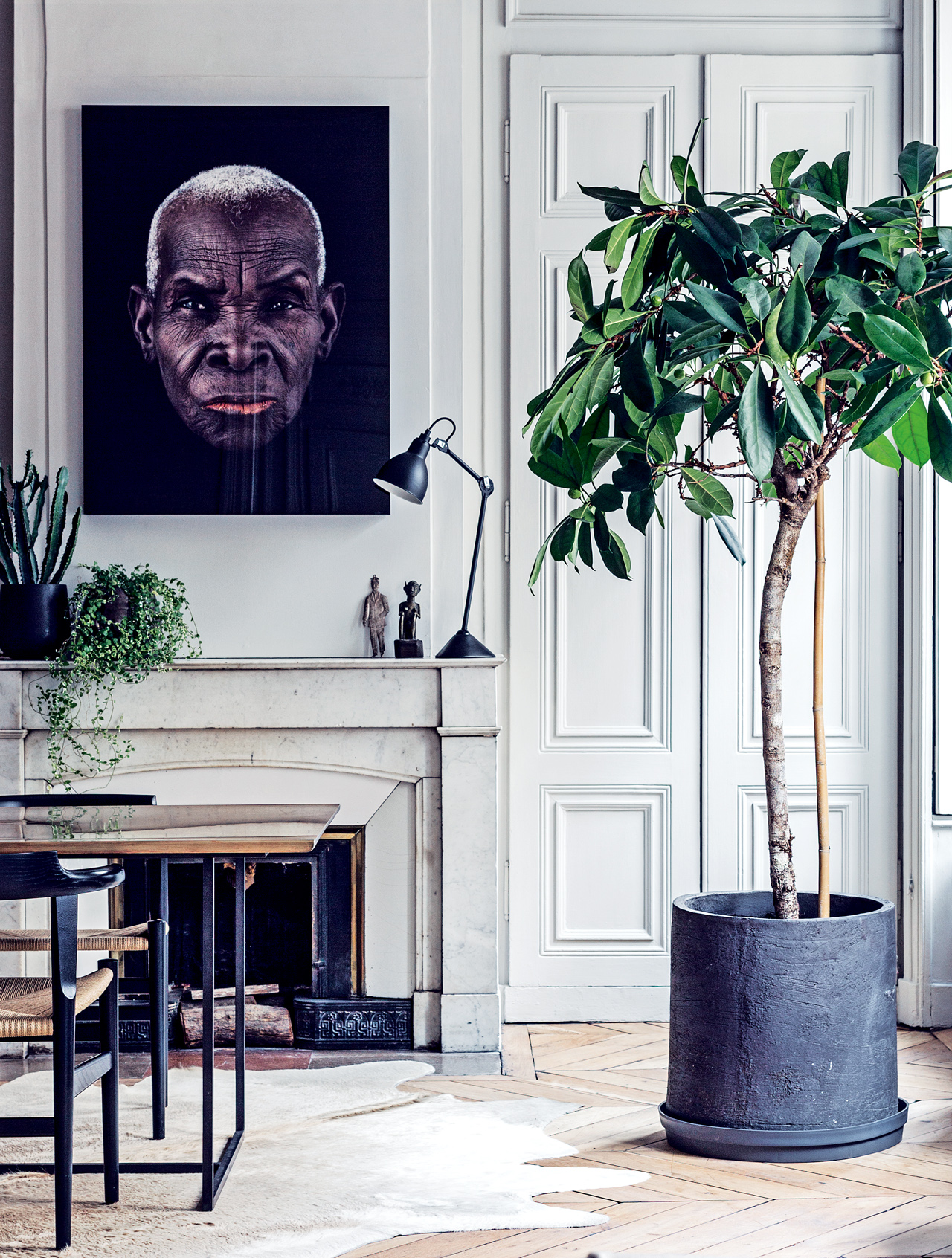 How to choose the perfect plant for your home interior - Vogue Living