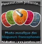 La Photo-Mosaque des Blogueurs francophones