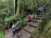 Tourists dump on popular beauty spot