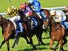 Preview: Best bets for Quirindi