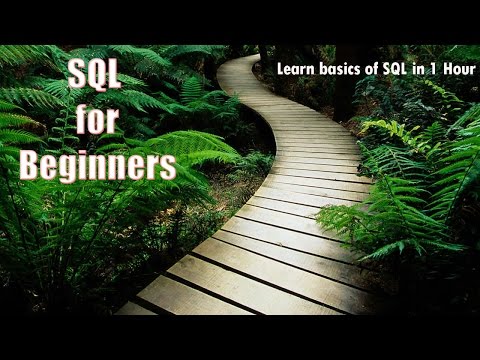 SQL for Beginners. Learn basics  of SQL in 1 Hour