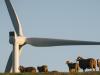 Wind farms add to power bills