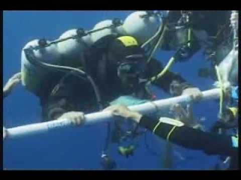 World Record Dive 318,25 m