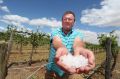 Kevin Leach pictured at his family property with devastated crops.