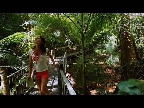 Daintree travel video guide Queensland Australia