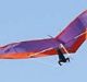 A search is under way for a hang-glider pilot in Queensland.