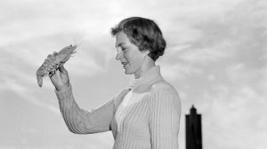 Leonie Nixon with prawn on 14 August 1951. SUN NEWS Picture by STAFF Molluscs crustacean seafood weird hhollins 1950s ...