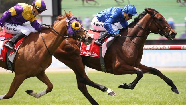 Qewy held off a late charge from Swacadelic to win the Sandown Cup. Picture: Wayne Ludbey