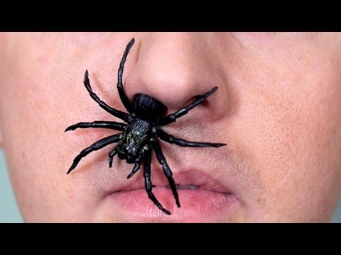 SPIDER IN NOSE!