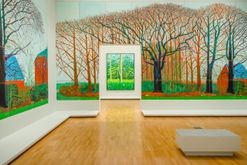 Inside the David Hockney exhibition, on now at the NGV