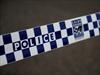 A police officer and good Samaritan have allegedly been assaulted at Newcastle in NSW.