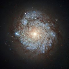 File - This image, taken by the NASA/ESA Hubble Space Telescope’s Wide Field Planetary Camera 2, shows a spiral galaxy named NGC 278.