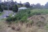 A photo showing how much the goats have eaten inside an electric fence and how much grass there is outside it.