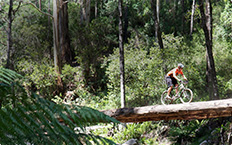 CROSS COUNTRY MOUNTAIN BIKING