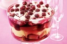 Raspberry ripple trifle