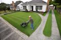 Chris Sadowski on his near perfect front lawn at his Oakleigh South home. 