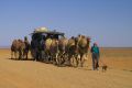 Kye Schaaf  leading camels across the Strezlecki track,just outside Lyndhurst SA  in winter 2005.